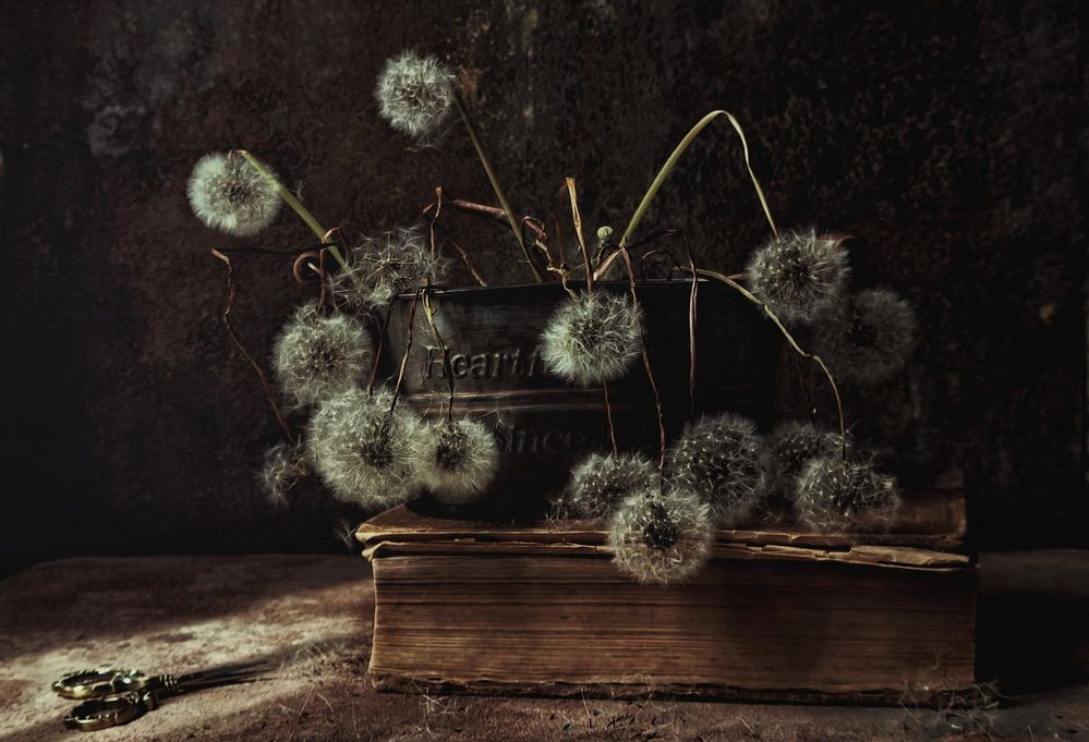 Photograph by Олеся Хижко