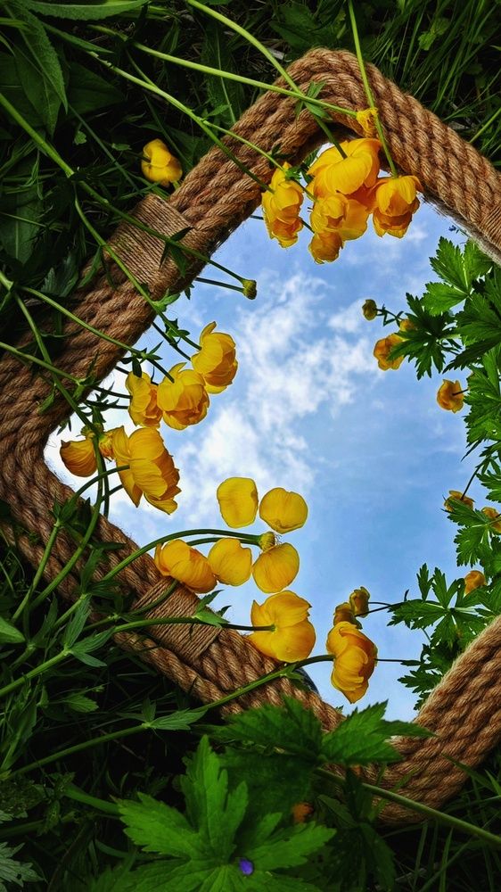 Photograph by Елена