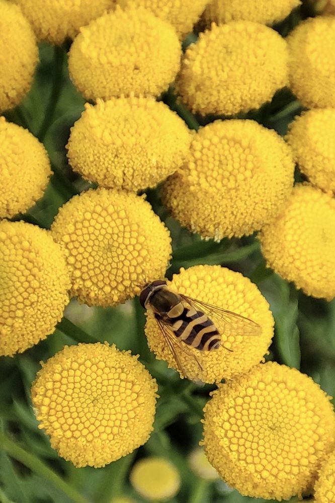 Photograph by Елена