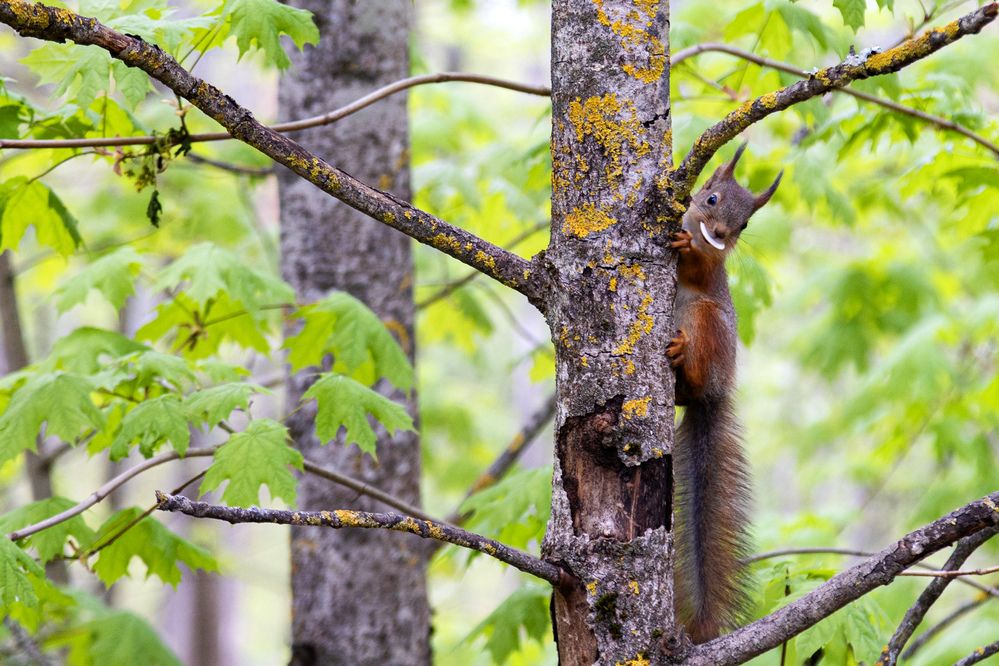 Photograph by Владимир Карпов