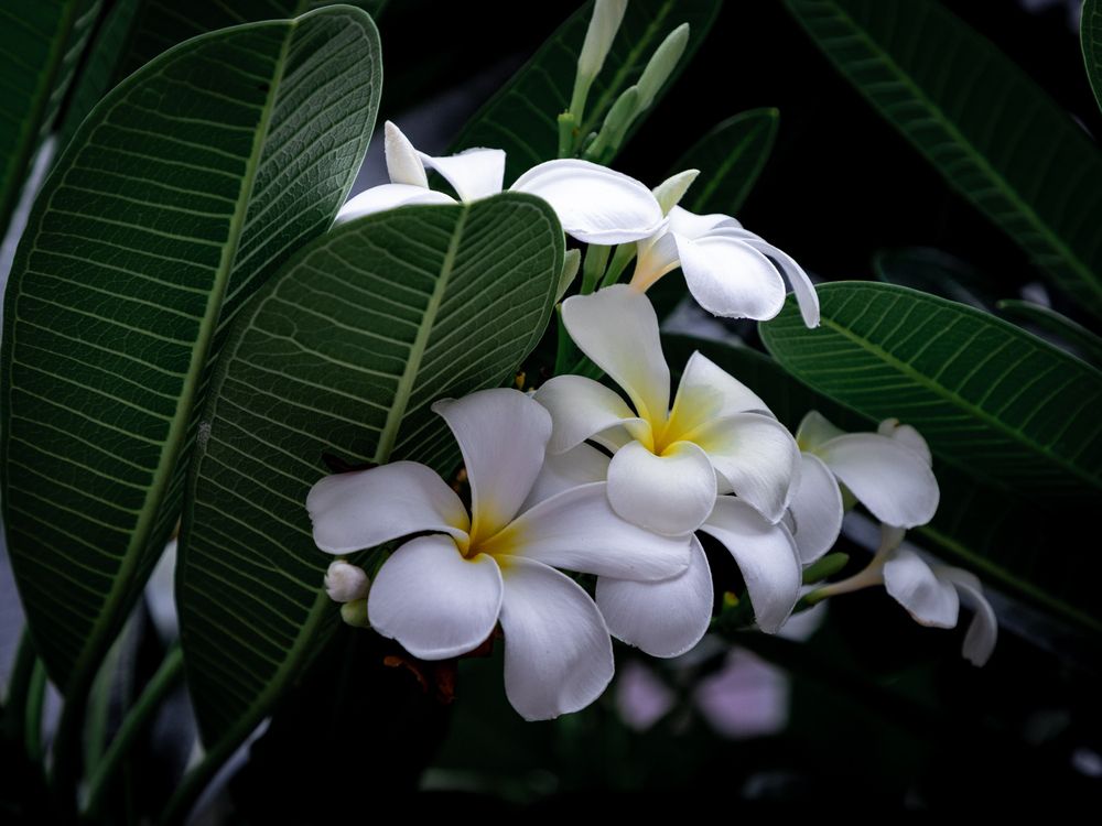 Photograph by Anna Amarova