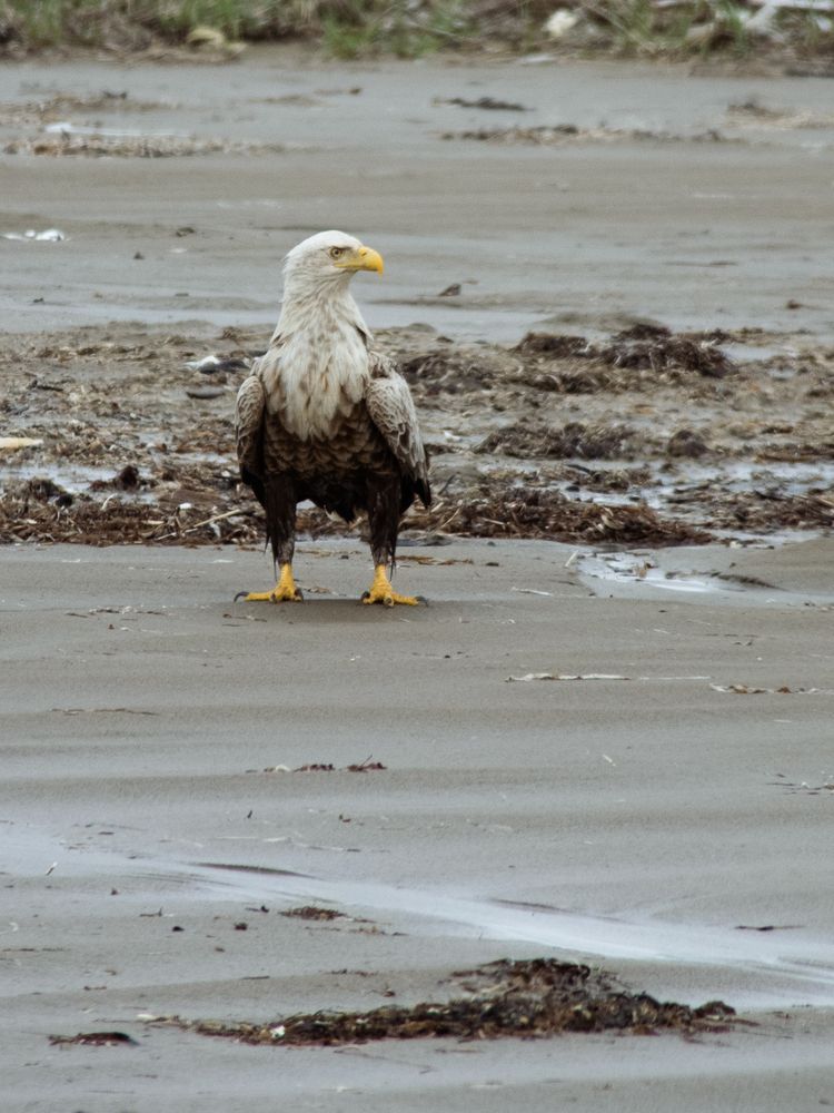 Photograph by Юлия Серазетдинова