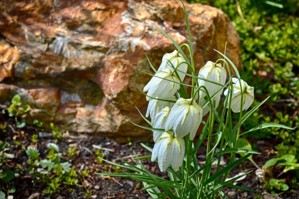 Photograph by Ирина Александрович