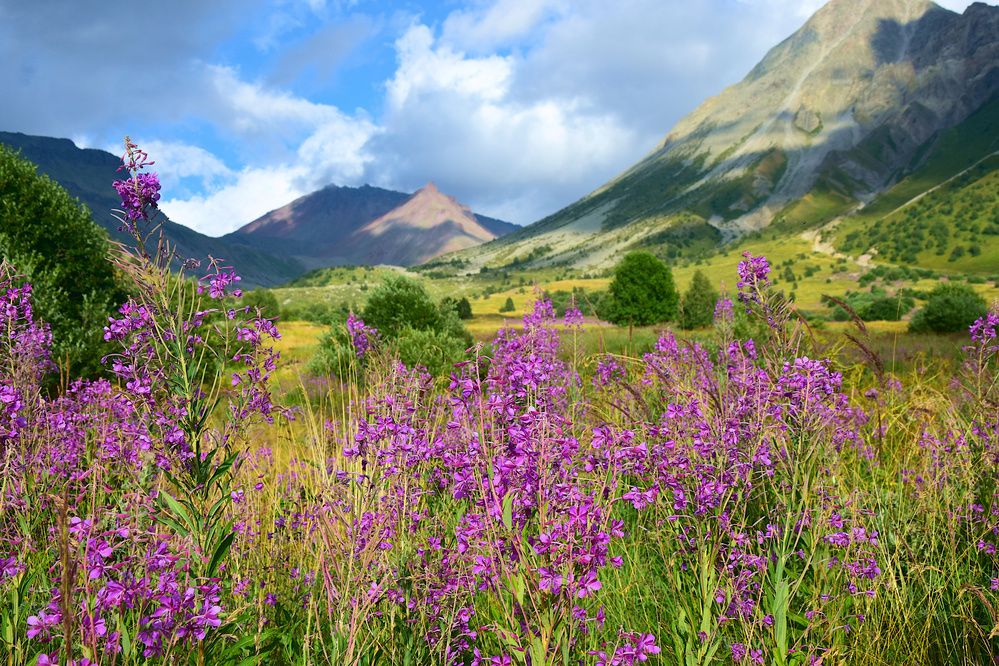 Photograph by Margo Margo