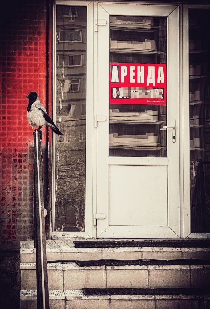 Photograph by Дайана