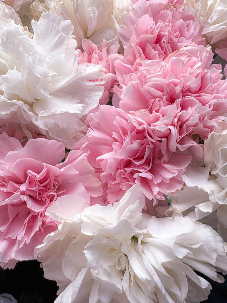 Фотография автора Марина