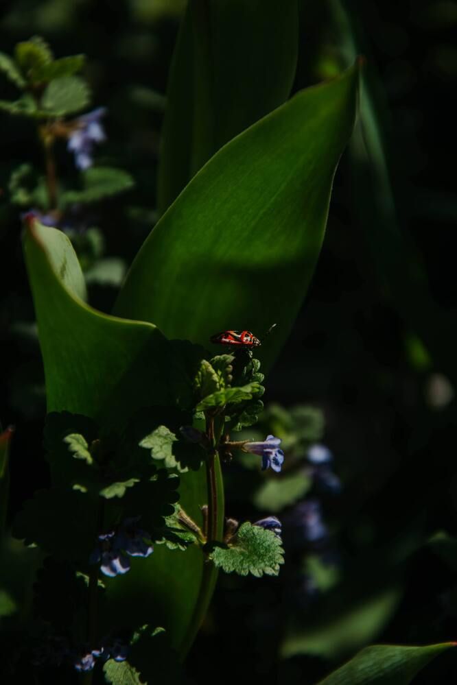 Фотография автора Кристина Байдала
