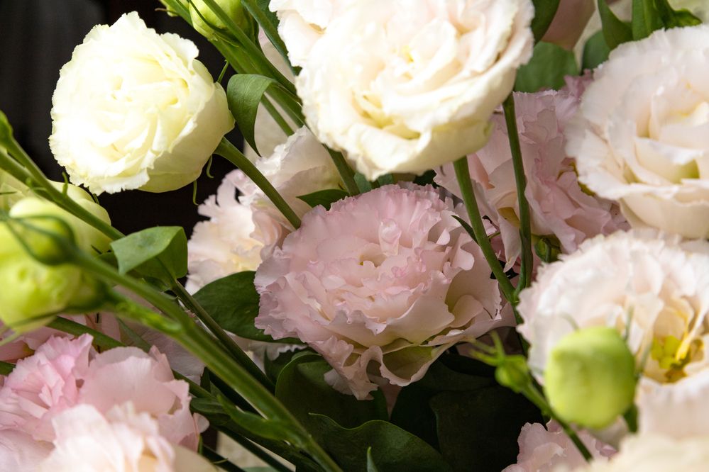 Photograph by София Серёжечкина