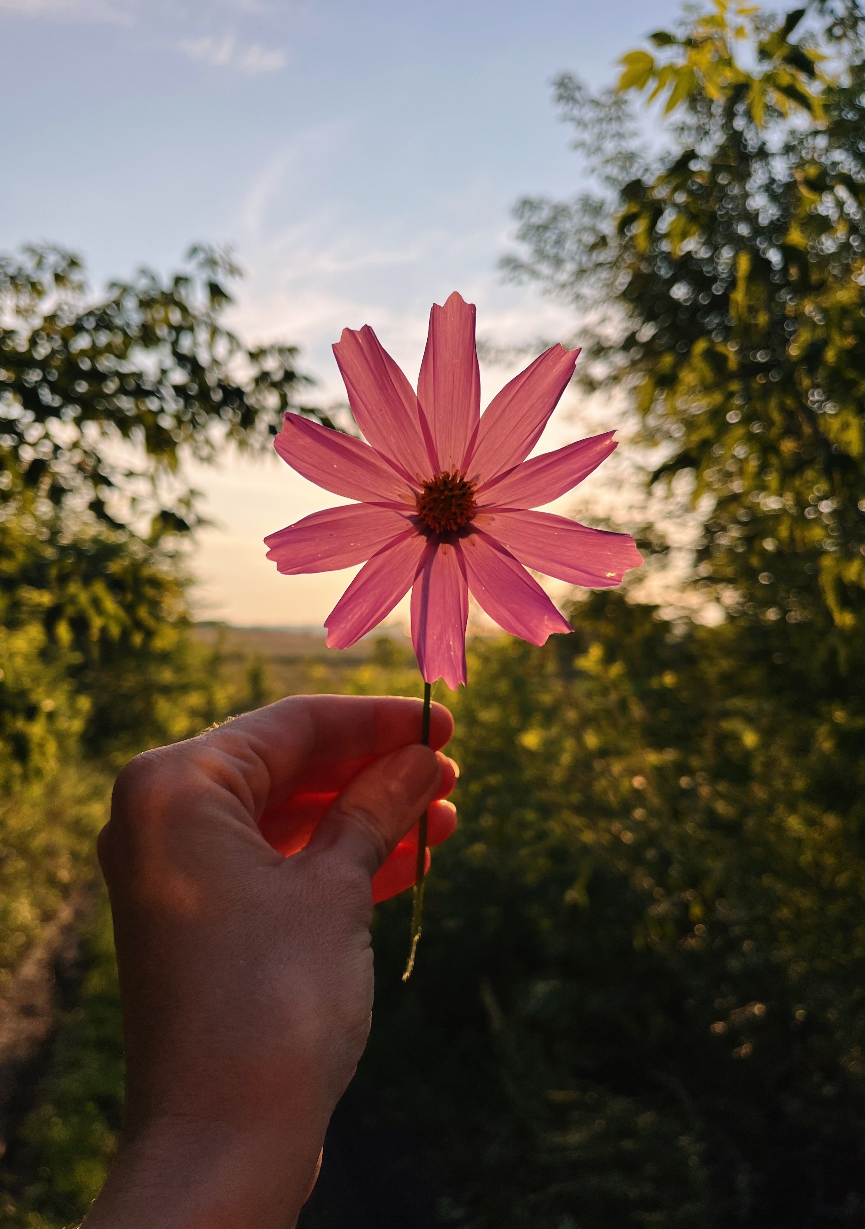 Photograph by Ольга Ручьева