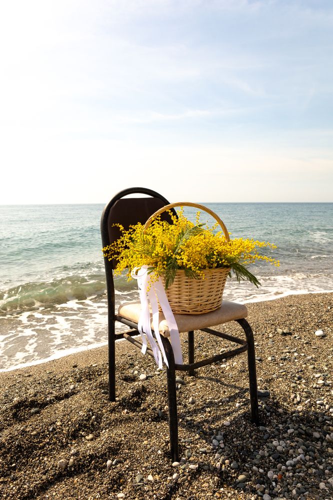 Photograph by София Серёжечкина