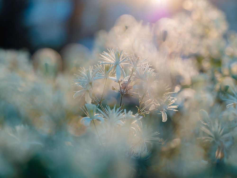 Photograph by Ирина Протченко