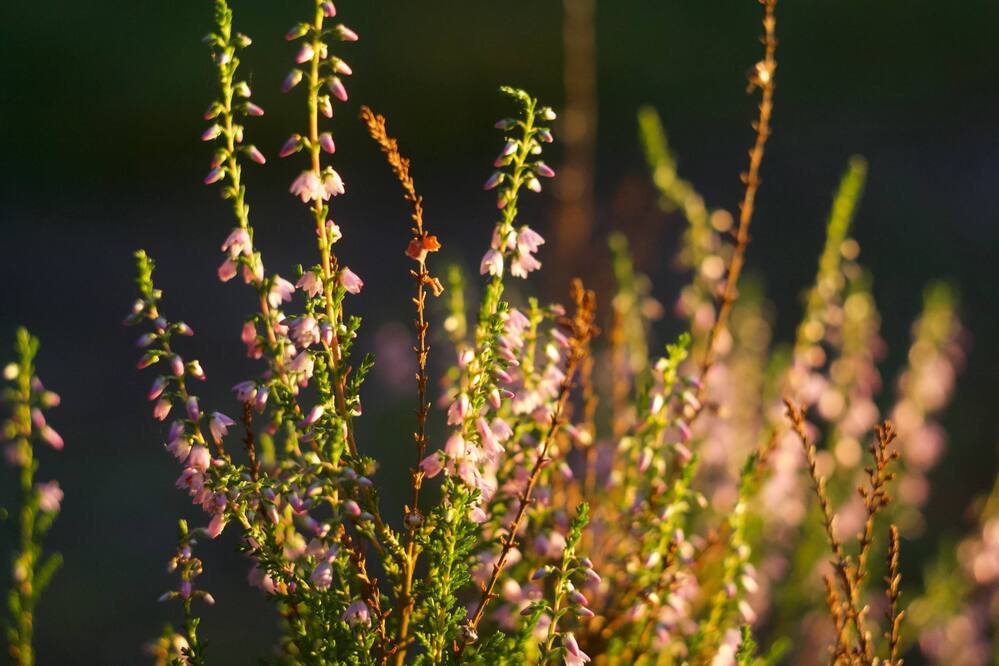 Фотография автора Ярослав Качура