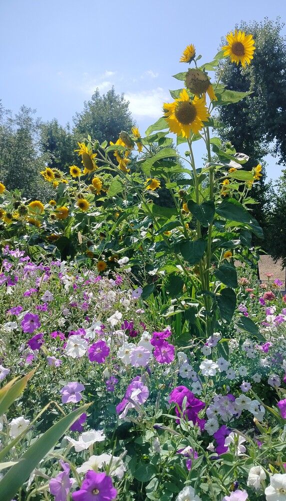 Photograph by Анна Лагун