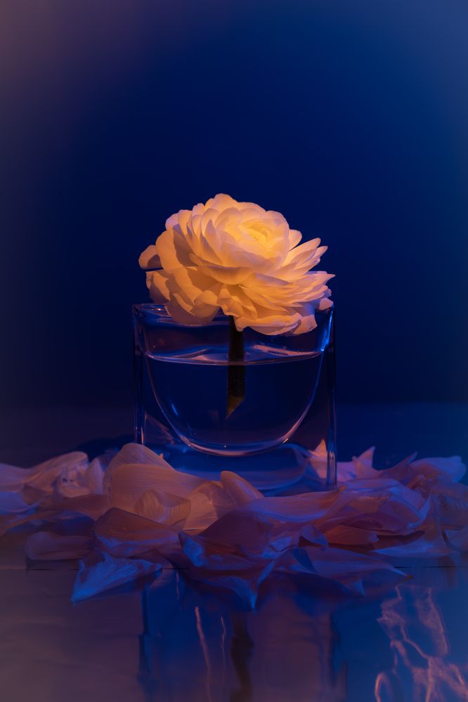 Photograph by Мария Чучелите-Майченко