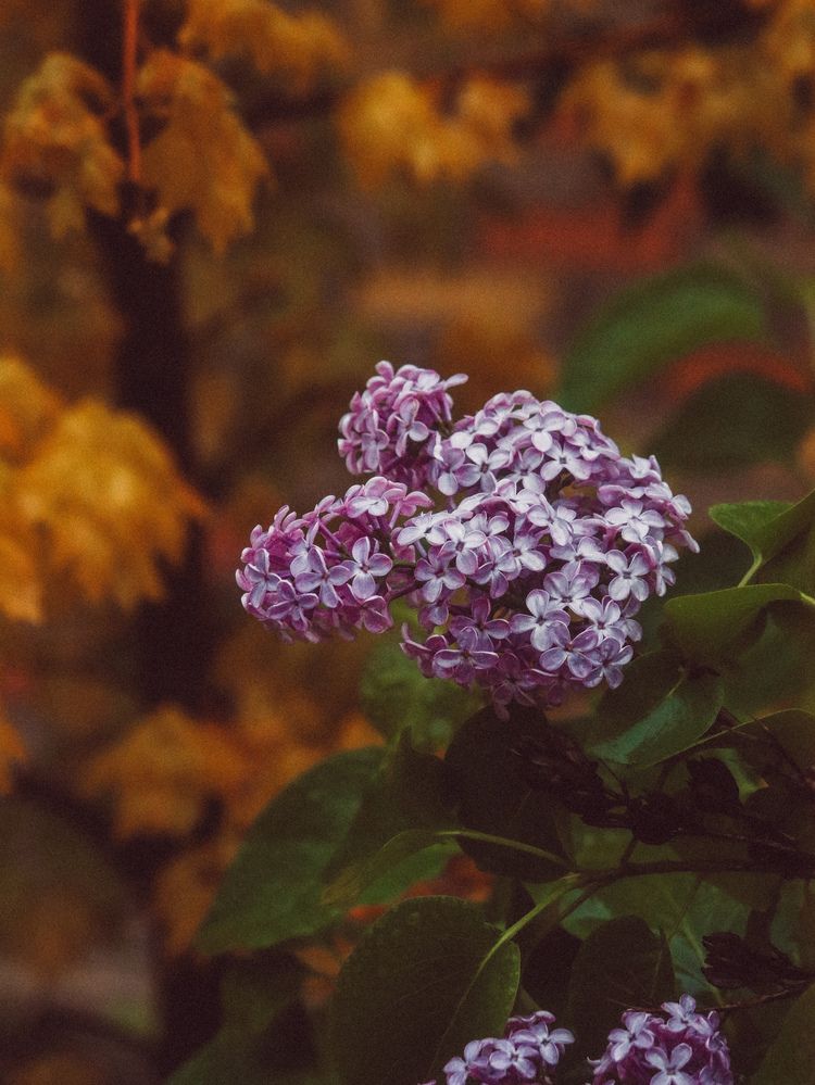 Photograph by Христина Сергейчик