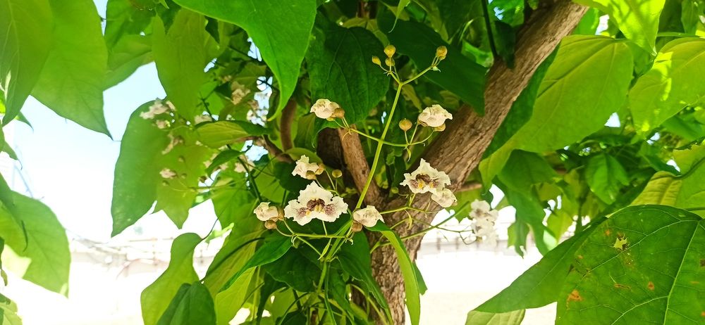 Photograph by Валерия Сопова