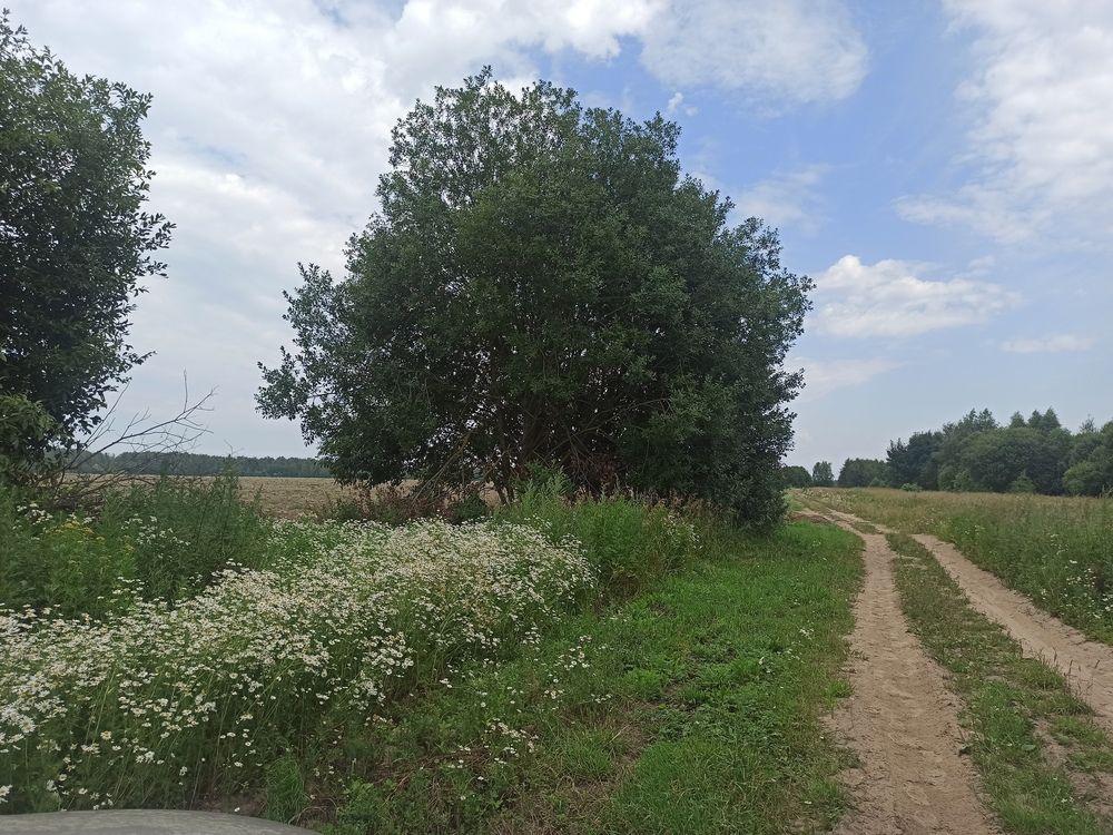 Photograph by Валерия Сопова