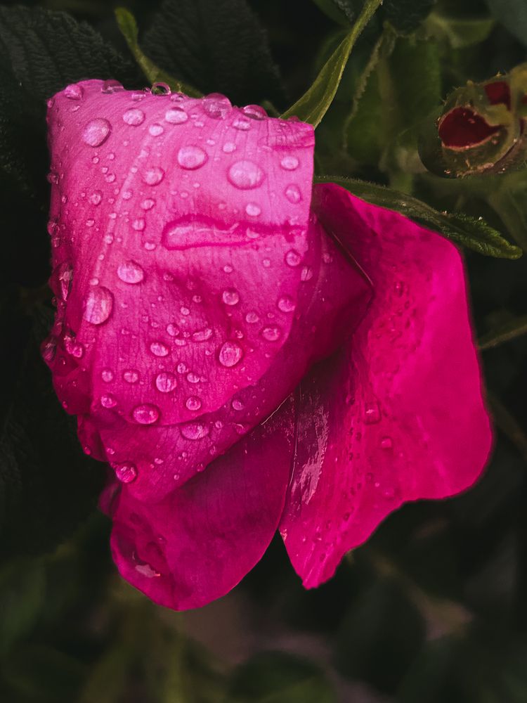 Photograph by Вероника Громадина