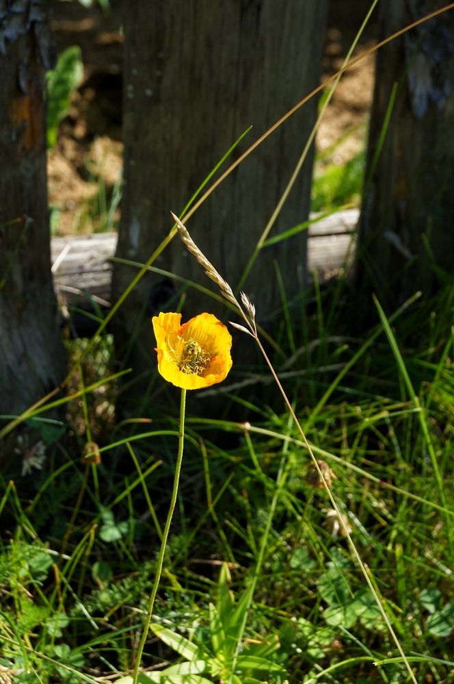 Photograph by Ирина Белозерцева