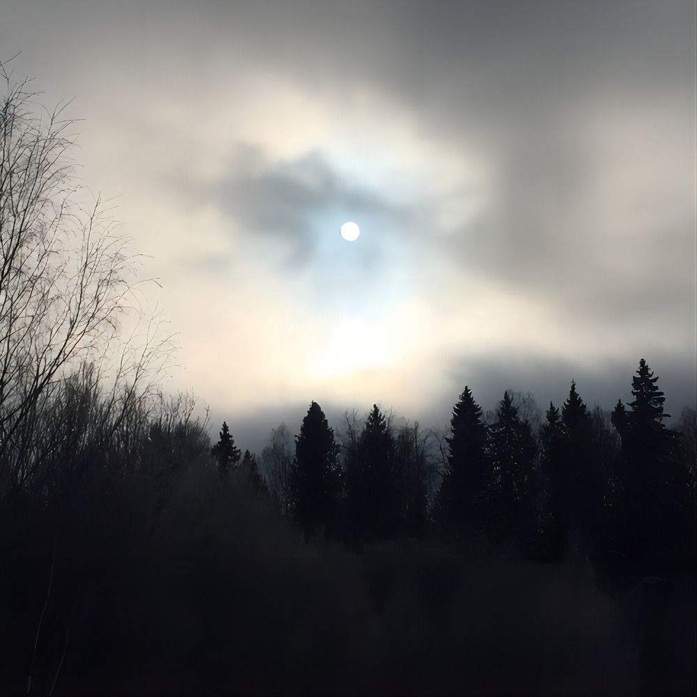 Photograph by Анастасия Бардыкина