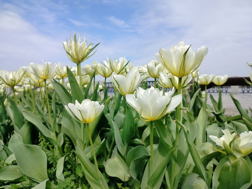 Photograph by Анна Лагун