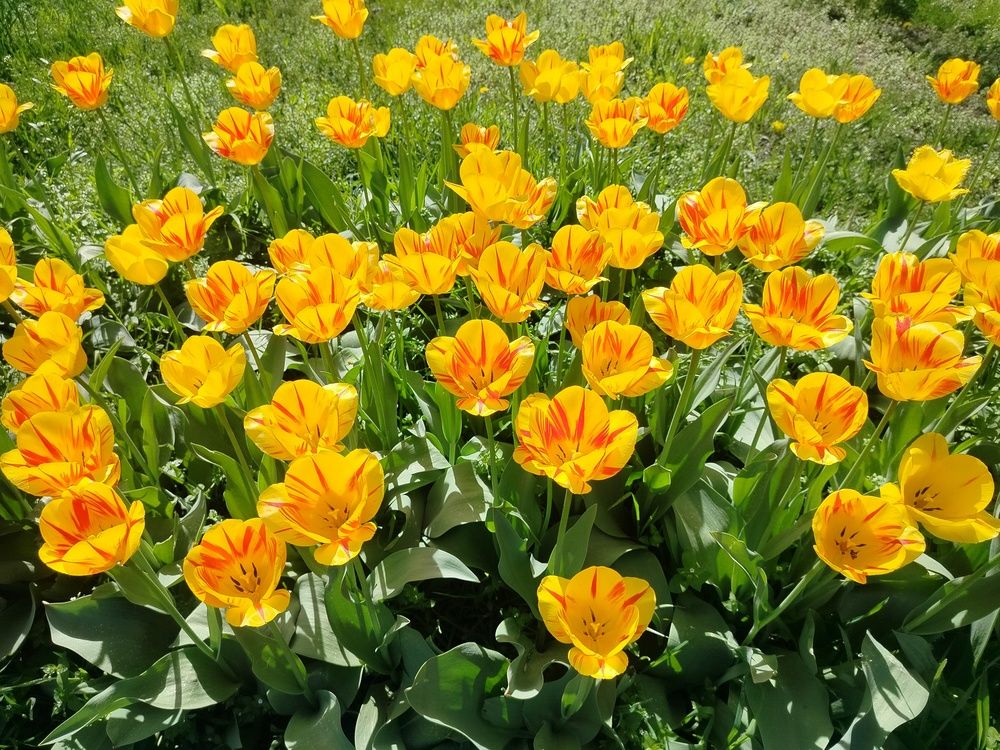 Photograph by Анна Лагун