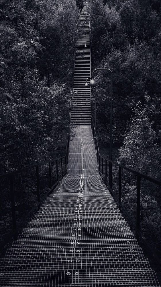 Photograph by Елена