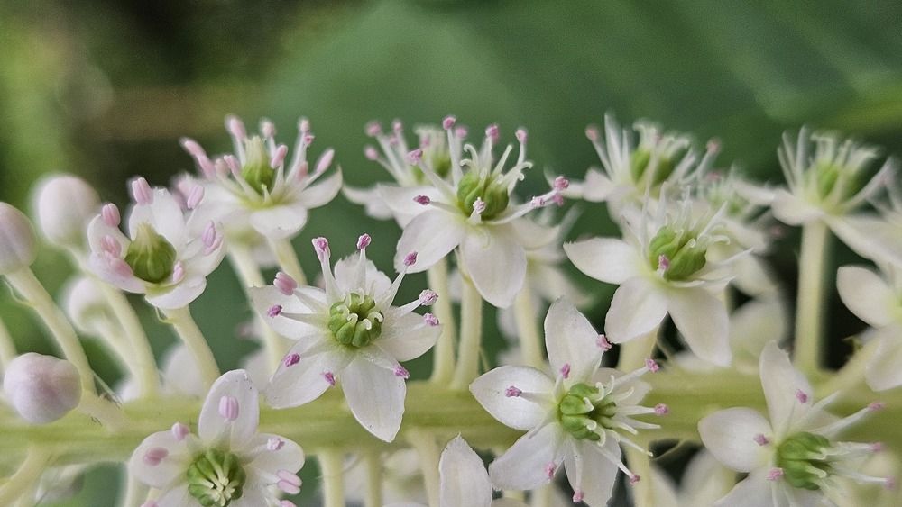 Photograph by Оксана Крылович