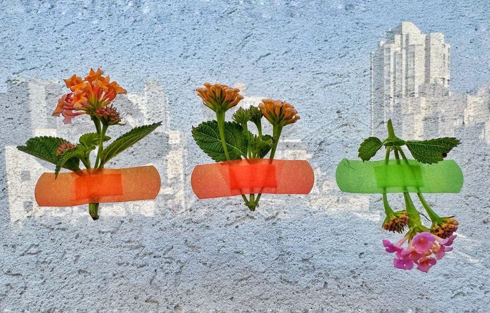 Photograph by Юлия Порфирьева