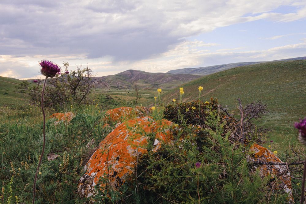 Фотография автора Ярослав Качура