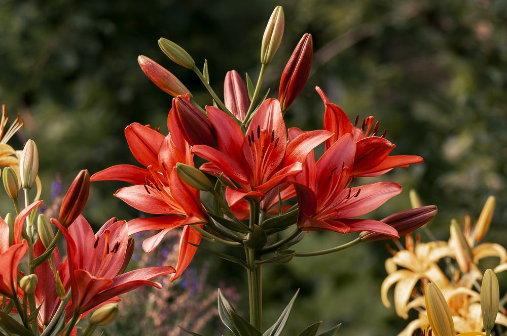 Photograph by Вадим Басов