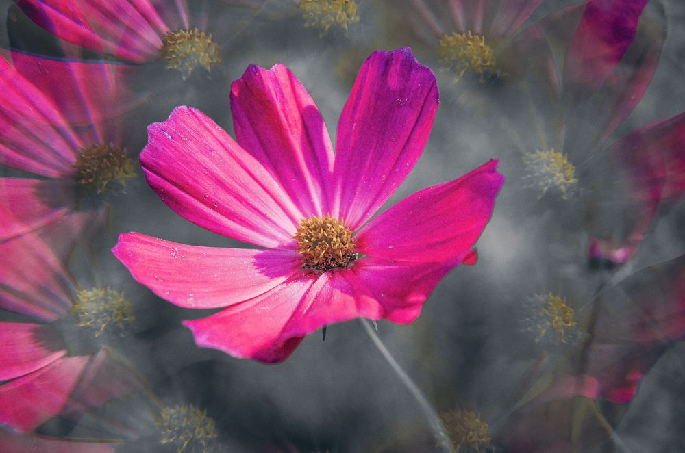 Photograph by Любовь Бусова