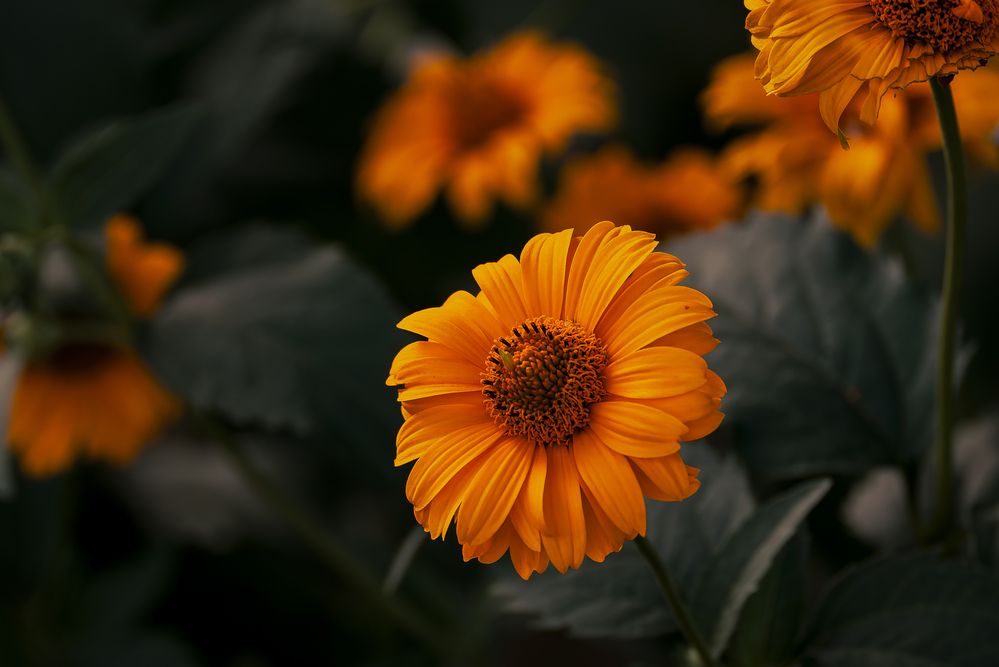 Photograph by Вадим Басов