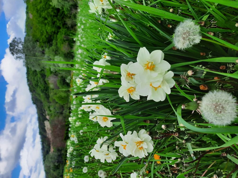 Photograph by Елена Валерьевна