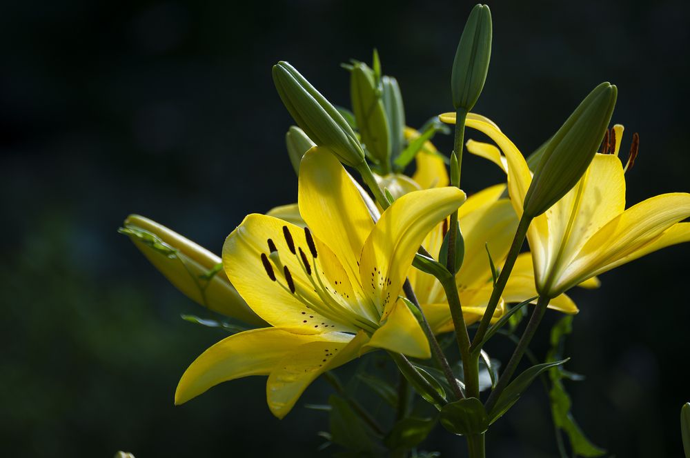 Photograph by Вадим Басов