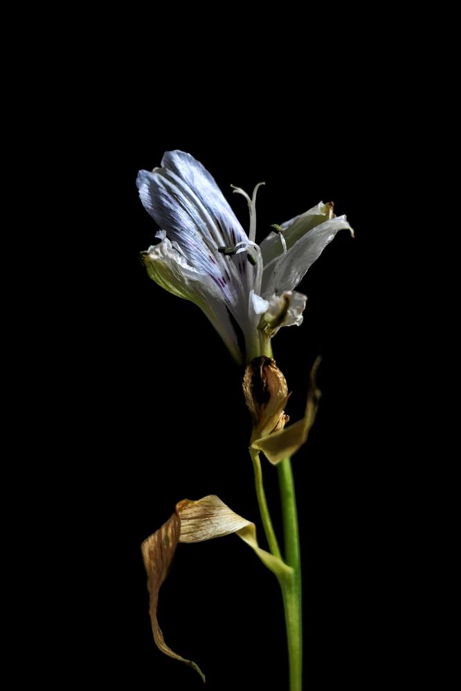 Фотография автора Olga Shchetinina