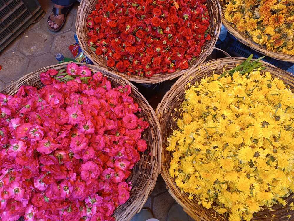 Photograph by Amrutha Varshini Nemaluri