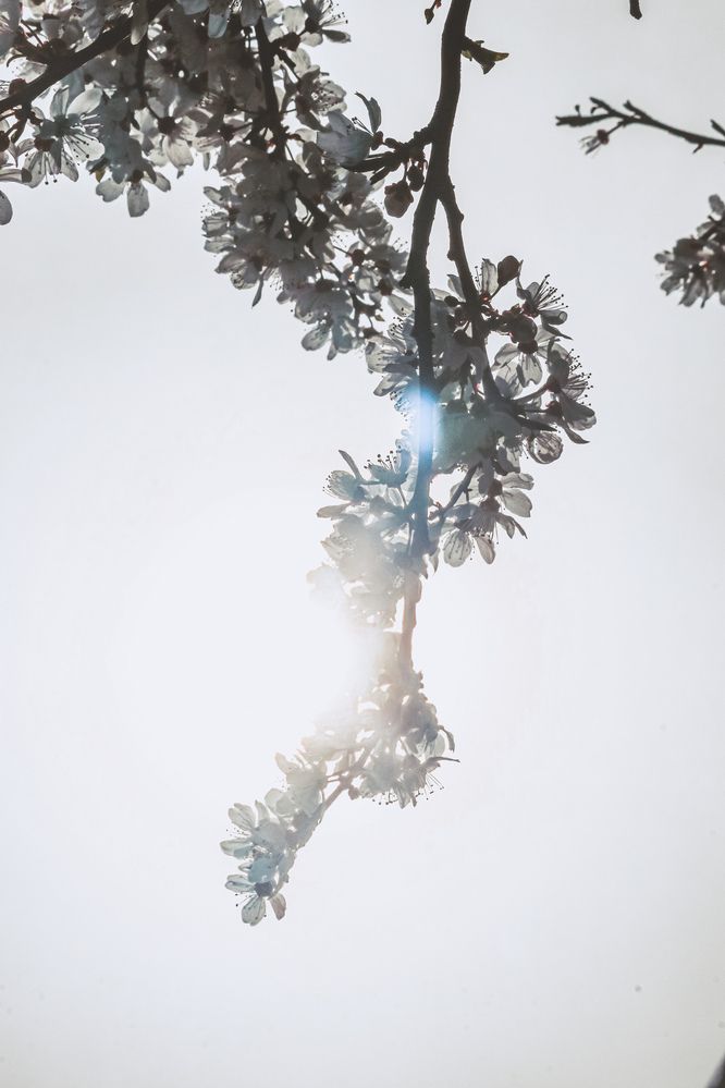 Photograph by Христина Сергейчик