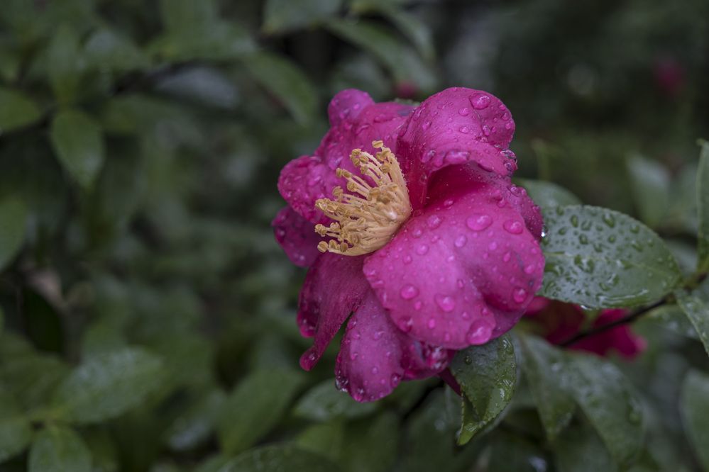 Photograph by Владимир