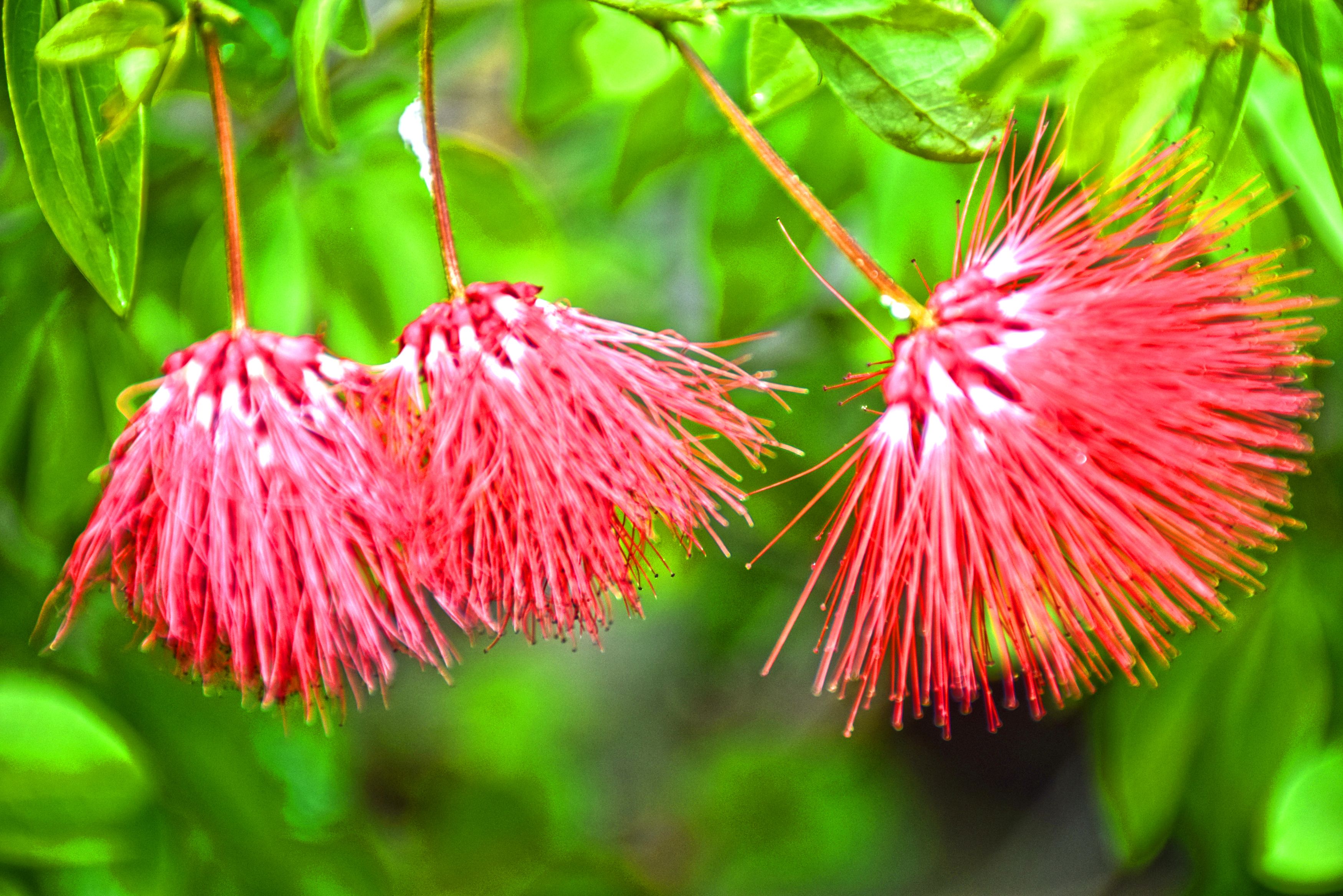 Photograph by Vy Van Bui