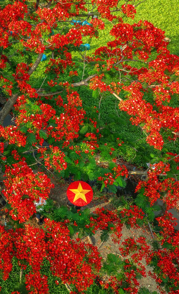 Photograph by Tran Phuong