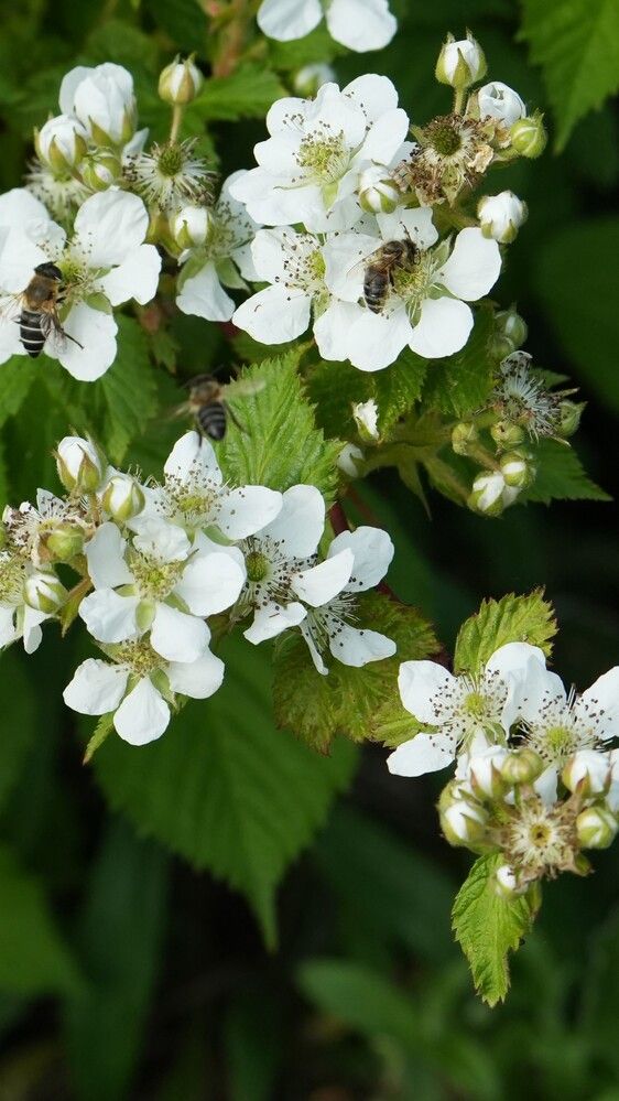 Photograph by Михаил Трусов