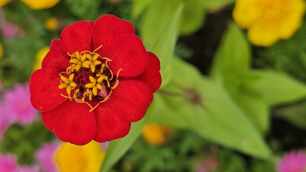 Photograph by Михаил Трусов