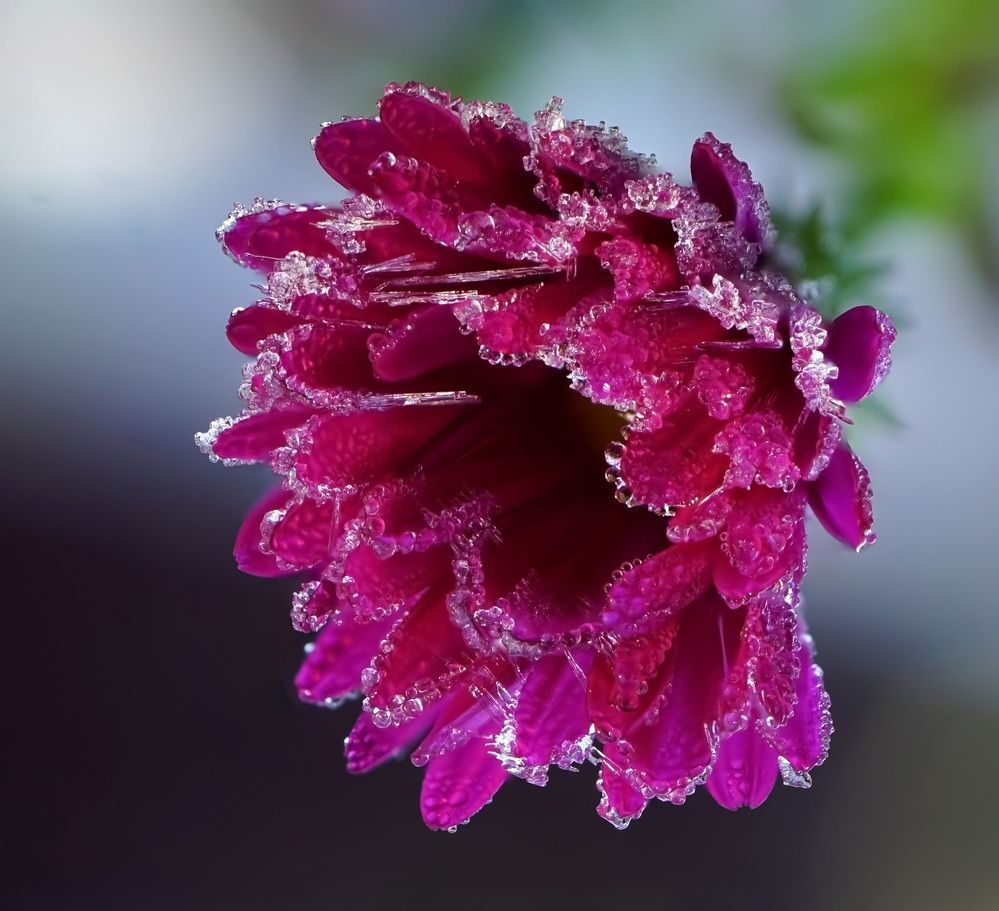 Photograph by Наталья Соколова