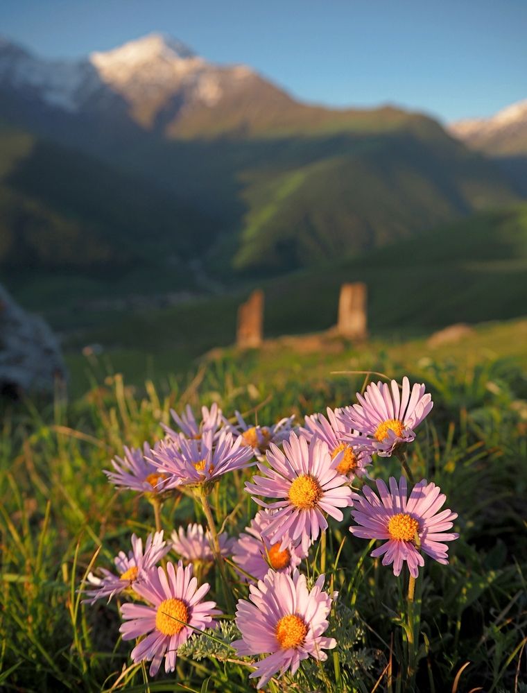 Photograph by Евгений Яковлев