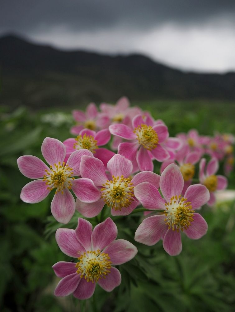 Photograph by Евгений Яковлев