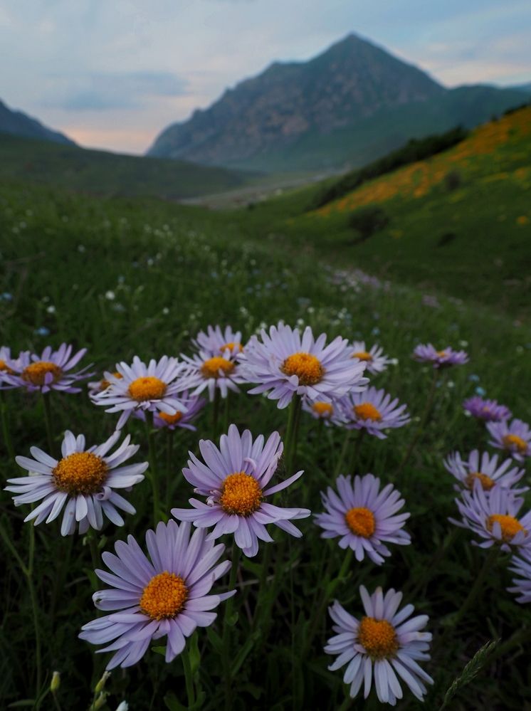 Photograph by Евгений Яковлев