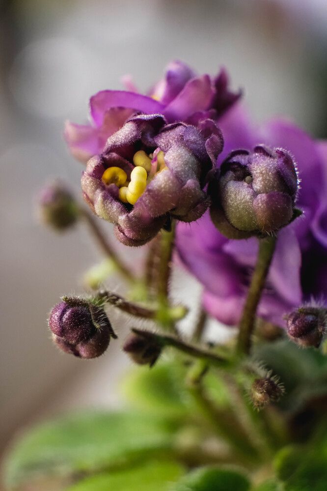 Photograph by Барашкова Екатерина