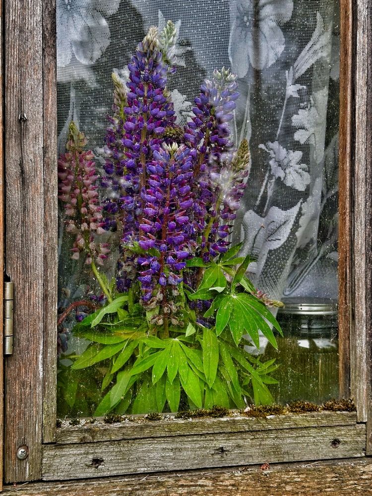 Photograph by Елена Брижеватая