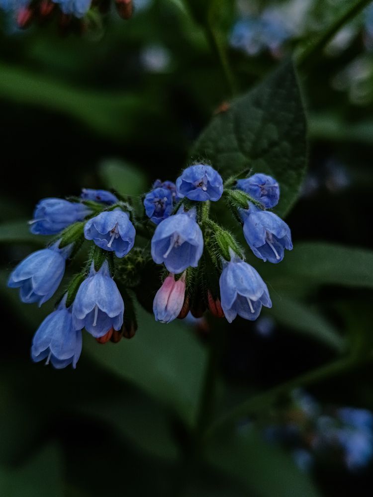 Photograph by Ольга Крит